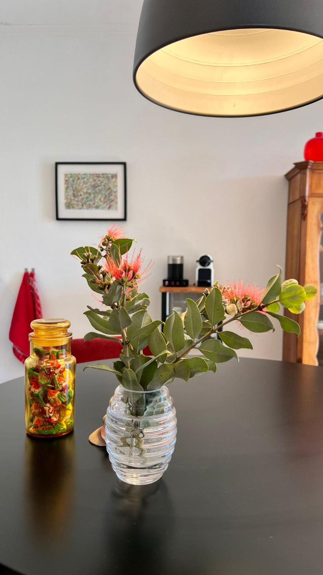 Arriba Stijlvol Appartement Met Zwembad En Tuin Conil De La Frontera Dış mekan fotoğraf