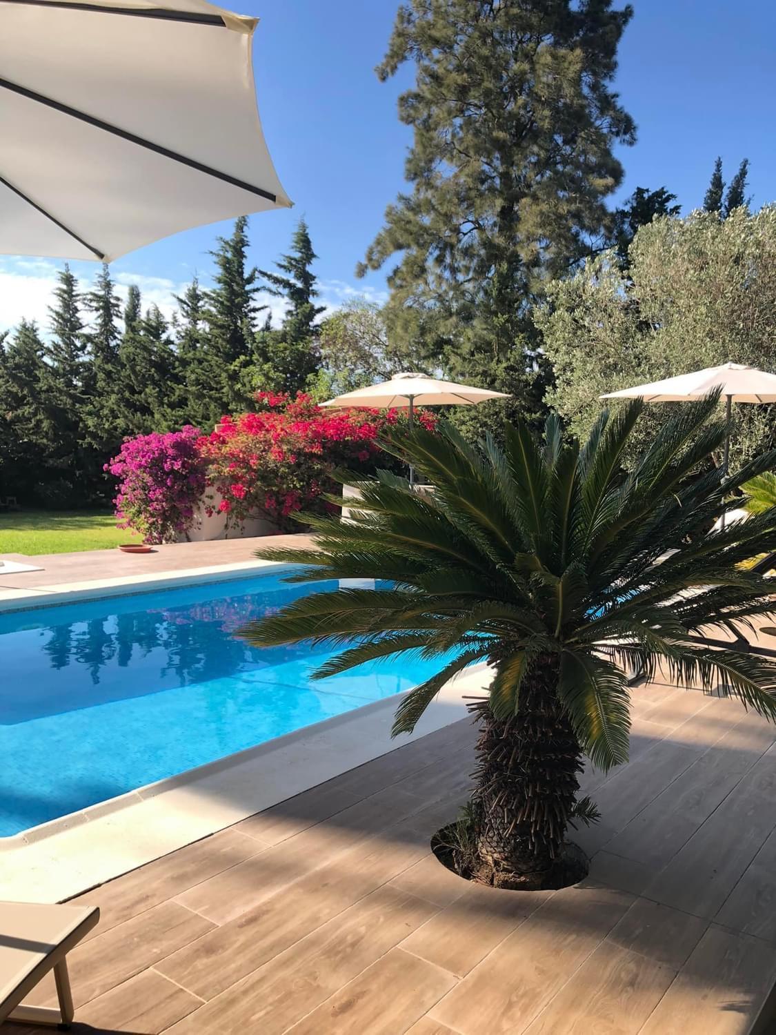 Arriba Stijlvol Appartement Met Zwembad En Tuin Conil De La Frontera Dış mekan fotoğraf
