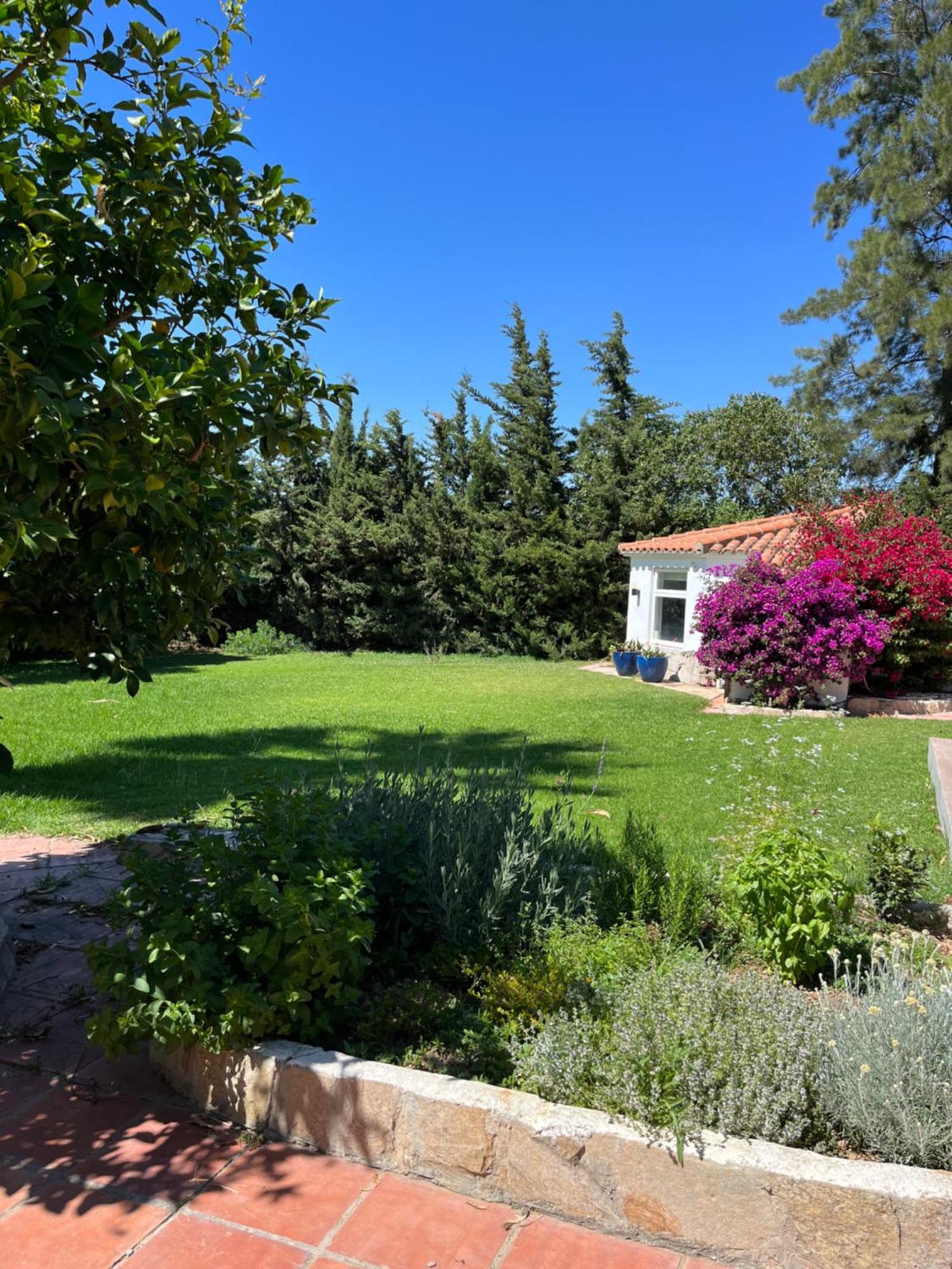 Arriba Stijlvol Appartement Met Zwembad En Tuin Conil De La Frontera Dış mekan fotoğraf
