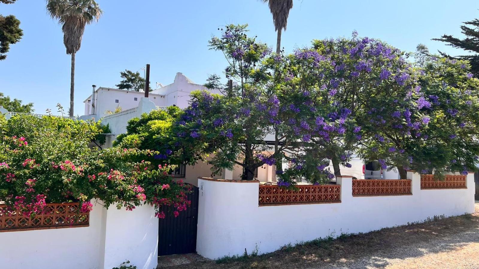 Arriba Stijlvol Appartement Met Zwembad En Tuin Conil De La Frontera Dış mekan fotoğraf